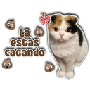 స్టికర్