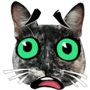 ស្ទីកเกอร์